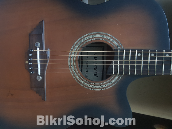 Challenger Guitar emergency sell